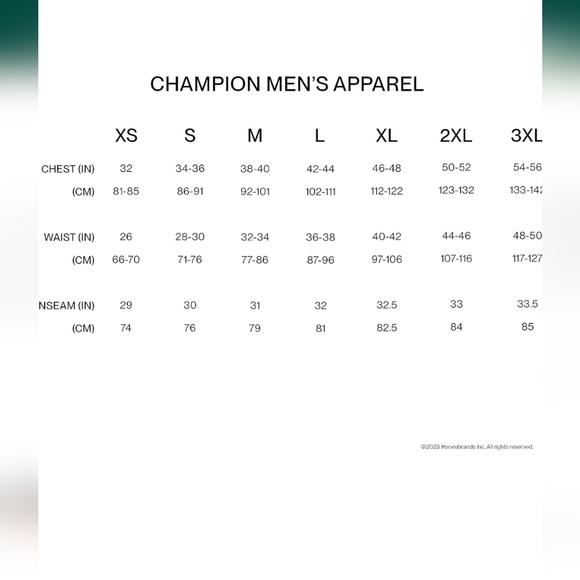 Champion  Men's Hoodie - Picture 5 of 7